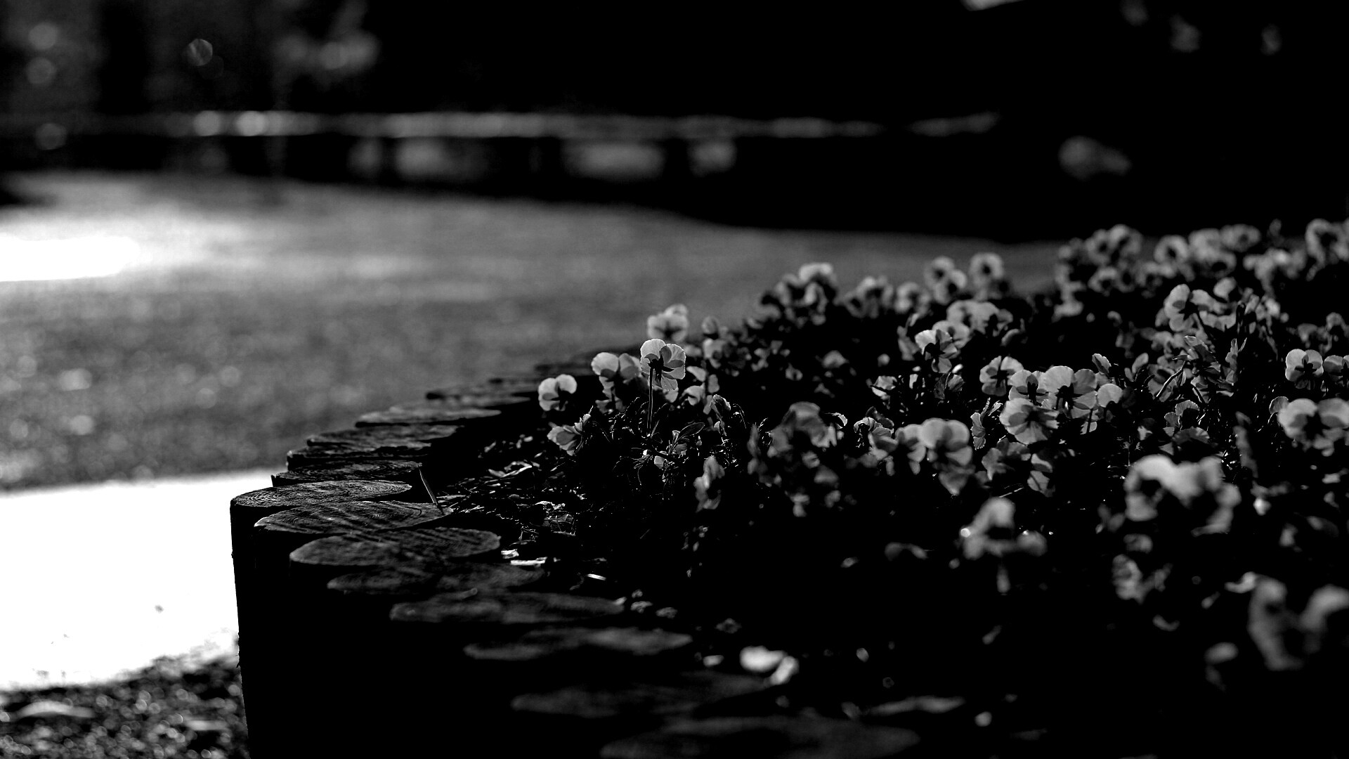 Красивая цветочная клумба обои