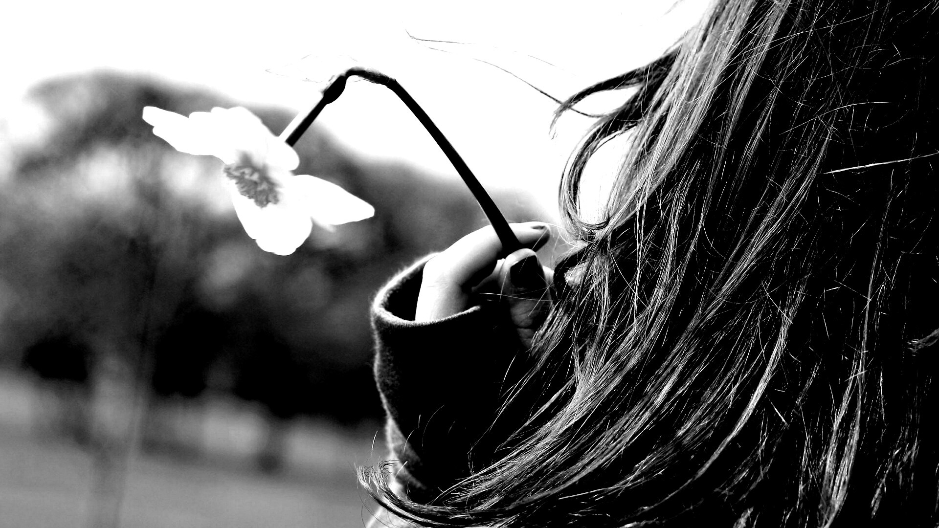 Девушка с нарциссом в руке обои