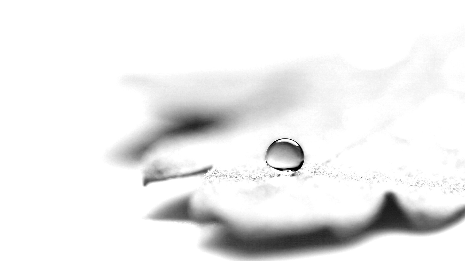 Капля на замёрзжем листе обои