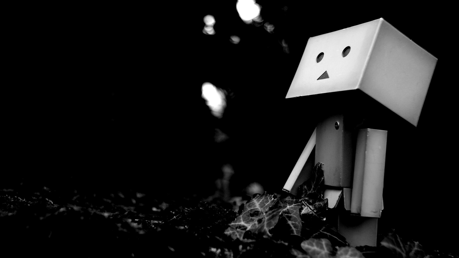 Danbo смотрит вверх обои
