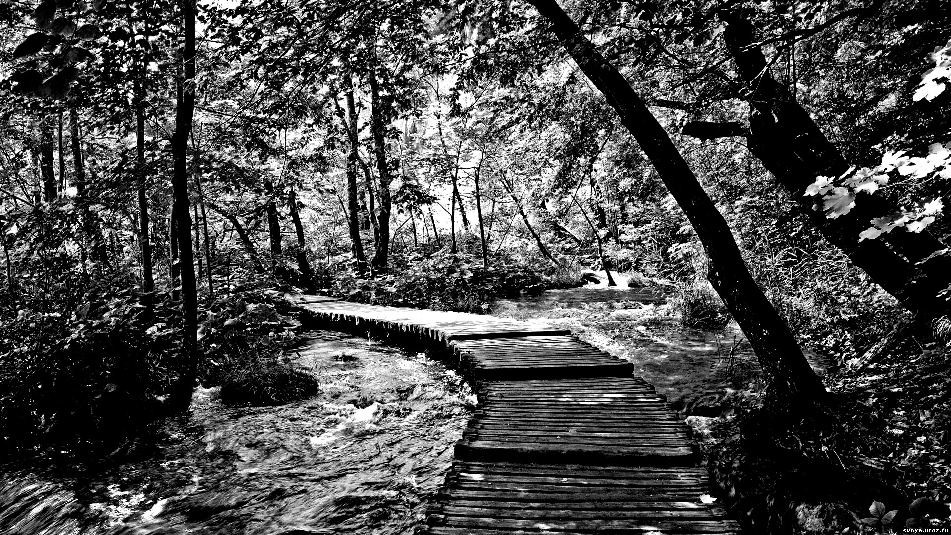 Тропинка над водой обои