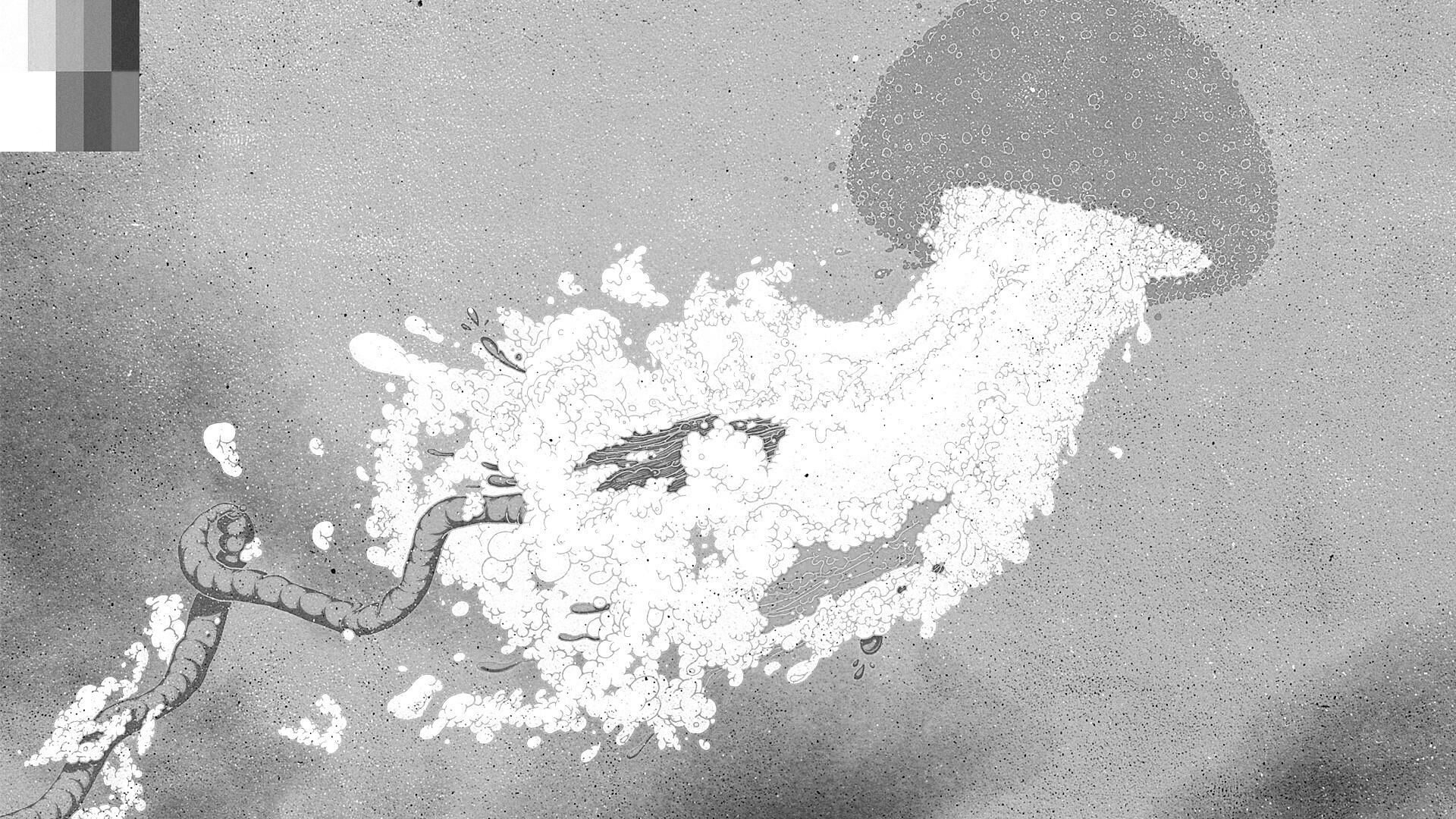 Розовая медуза обои