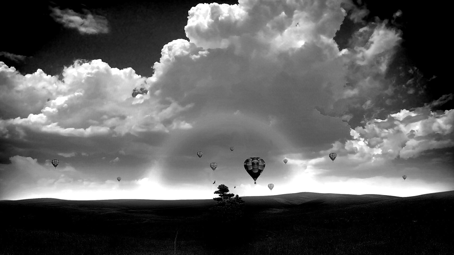 Мечты о полёте обои