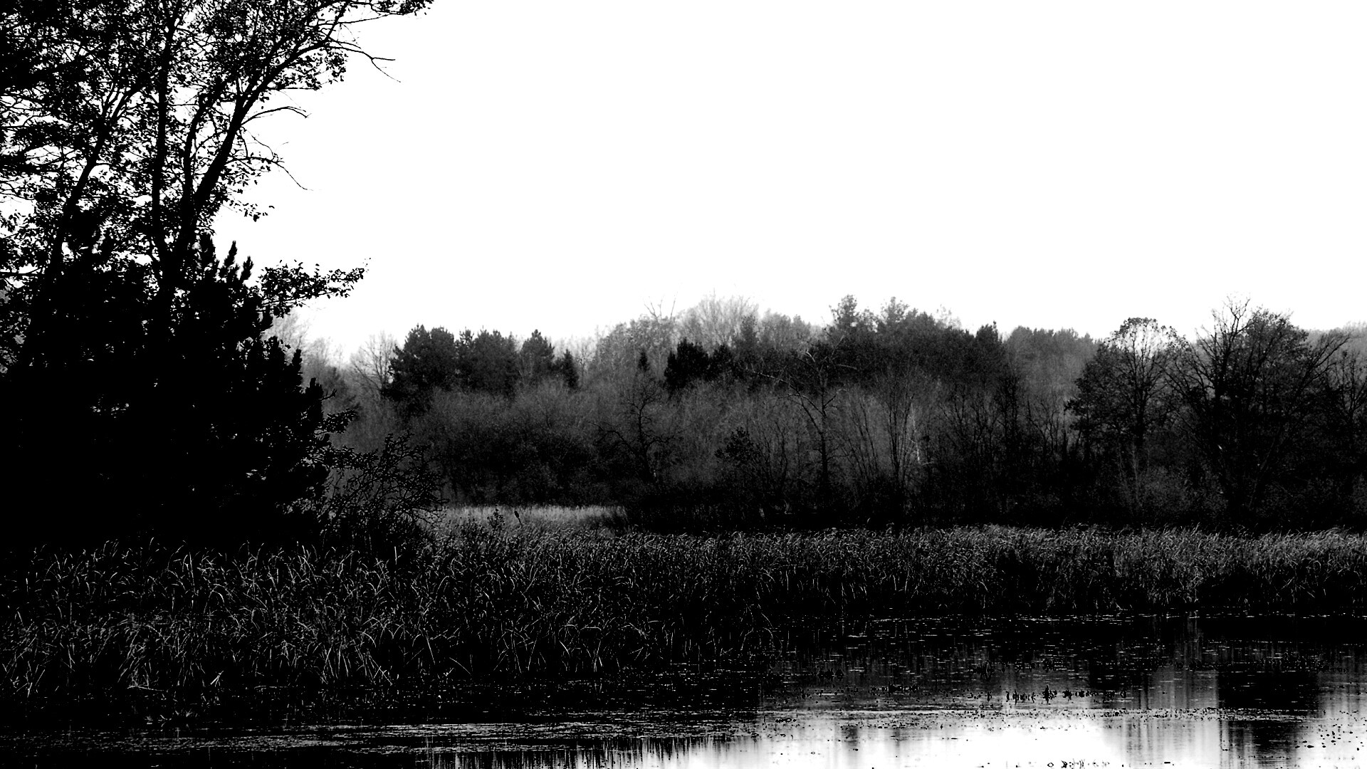 Живописные болота обои