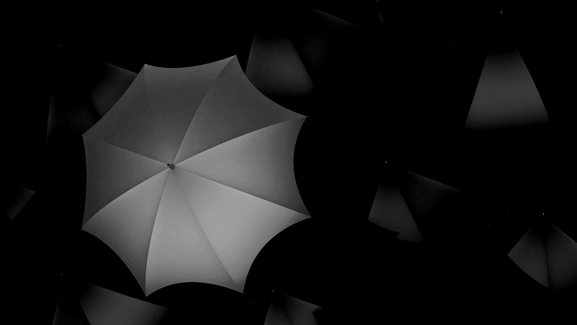 Жёлтый среди чёрных обои