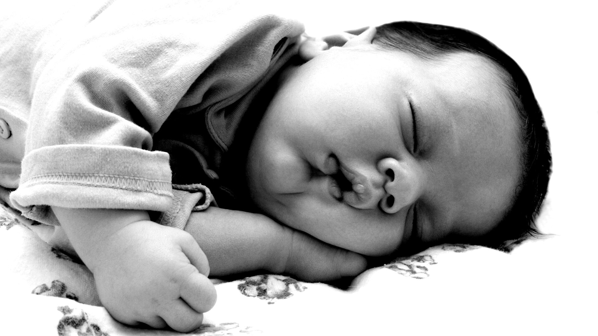 Спящая прелесть обои