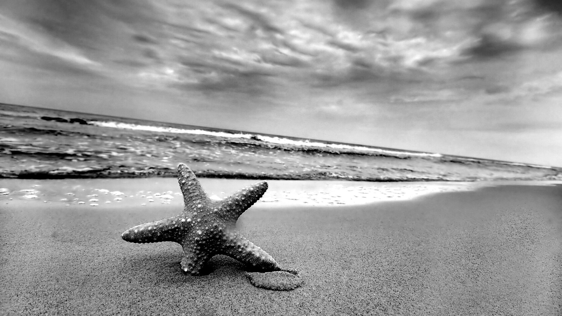 Морская звезда в песке обои