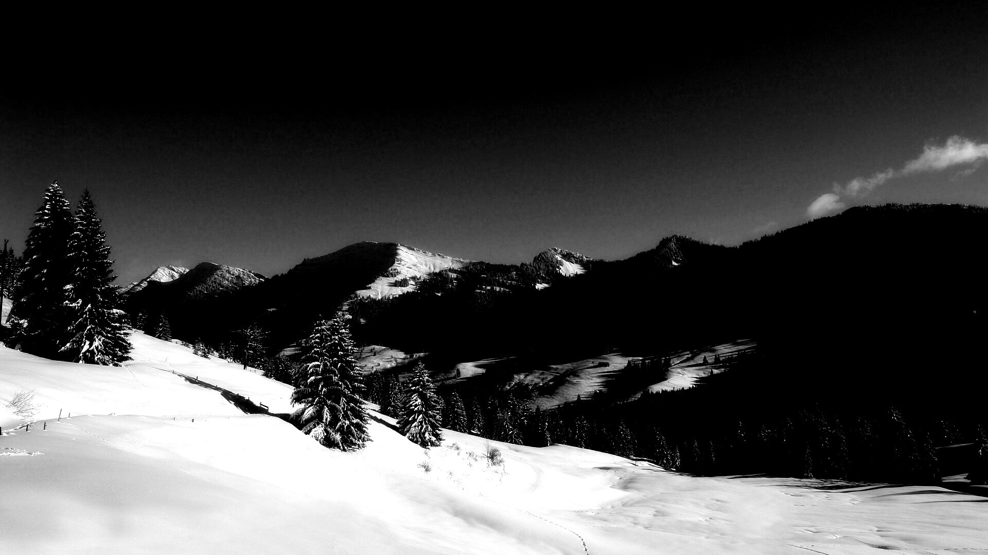 Лес в горах обои