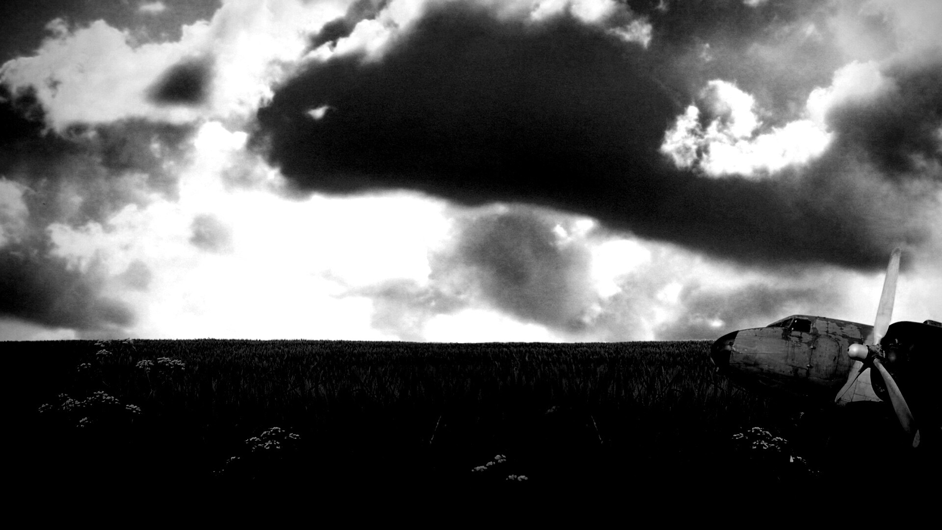 Старый ржавый самолет на лугу обои