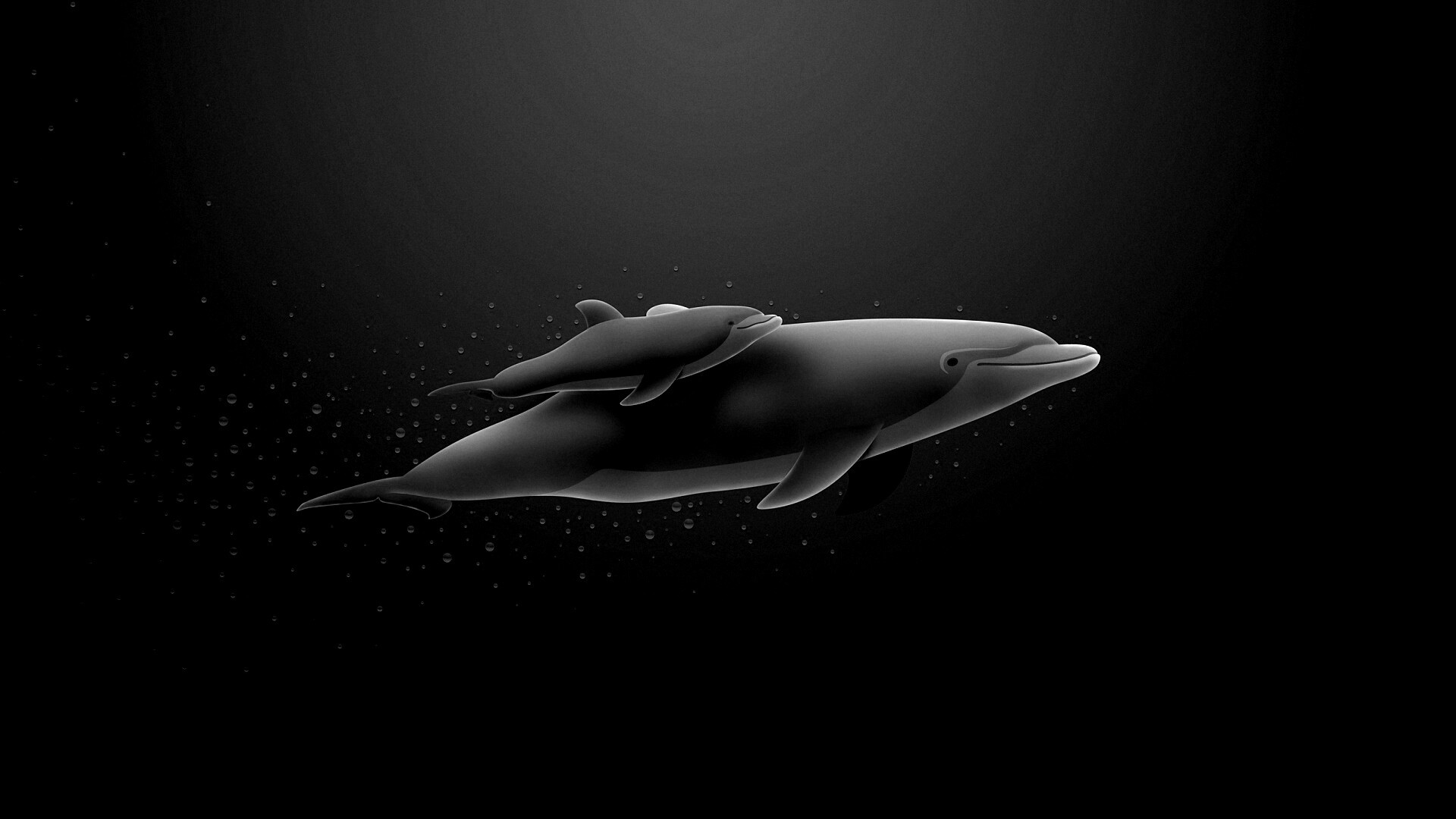 Дельфин и дельфиненок обои