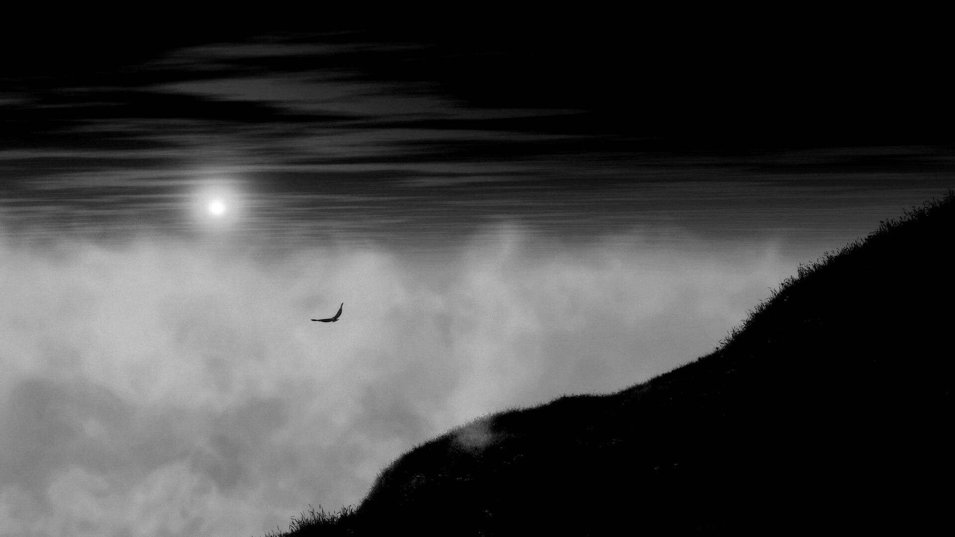 Птица парит над туманом обои