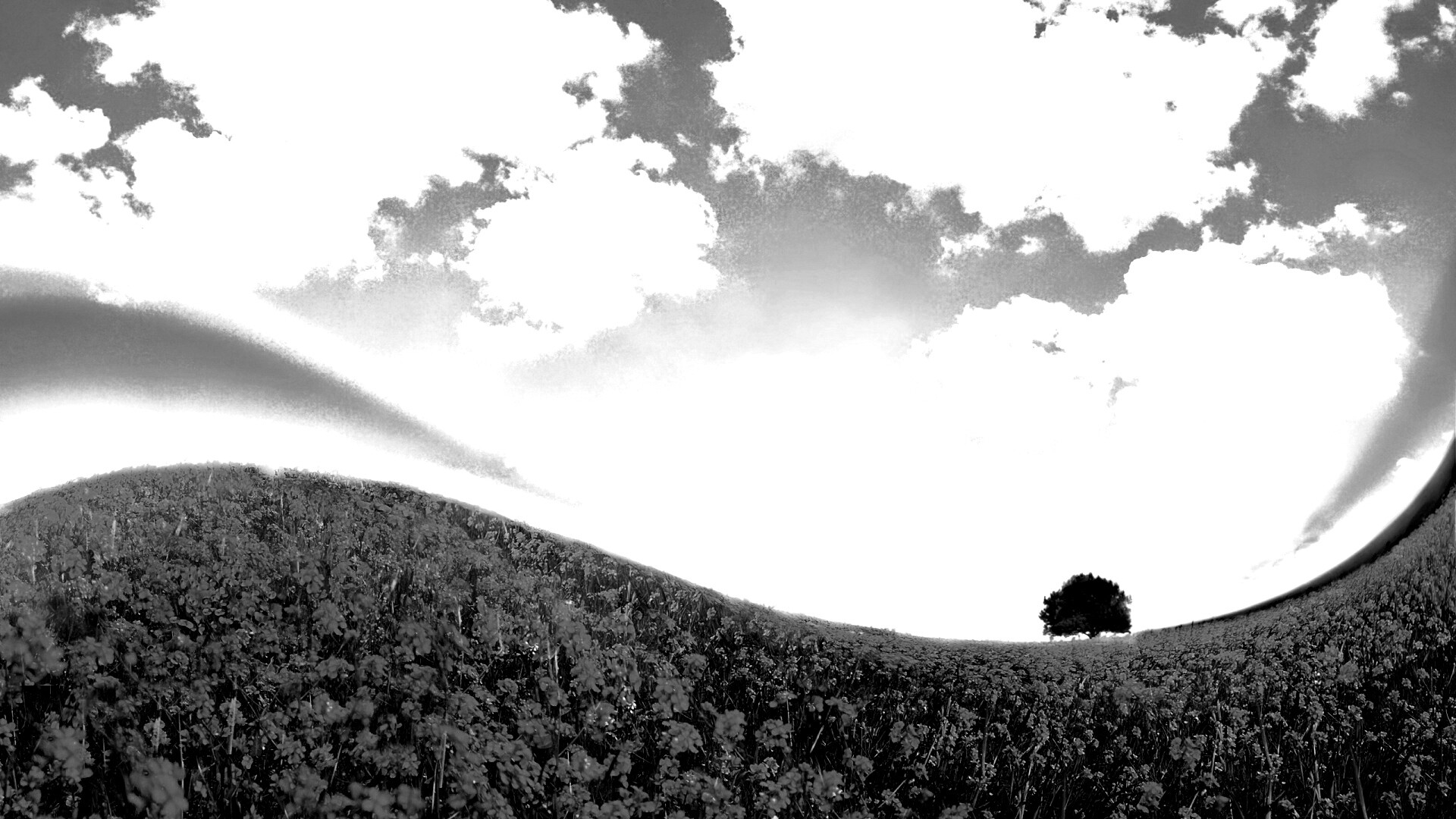 Искаженный мир обои