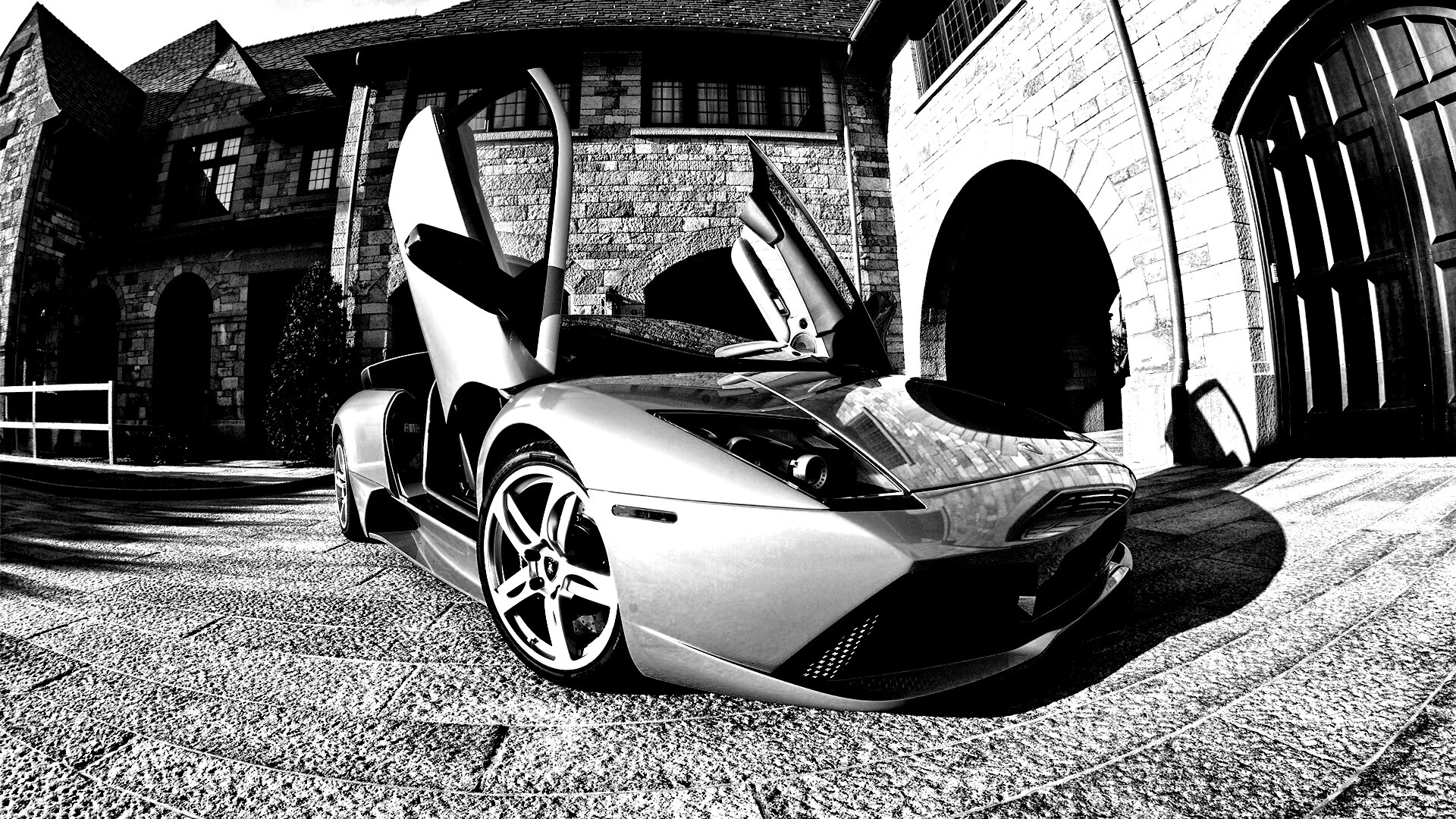 Зеленая ламба обои