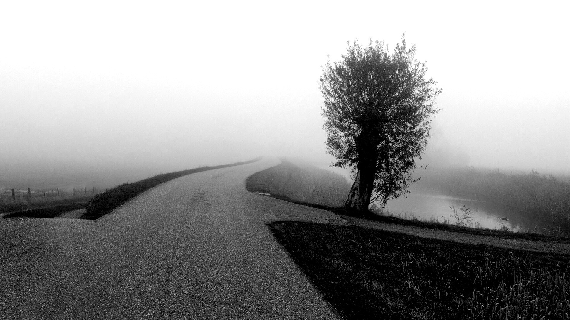 Дорога растворяется в тумане обои