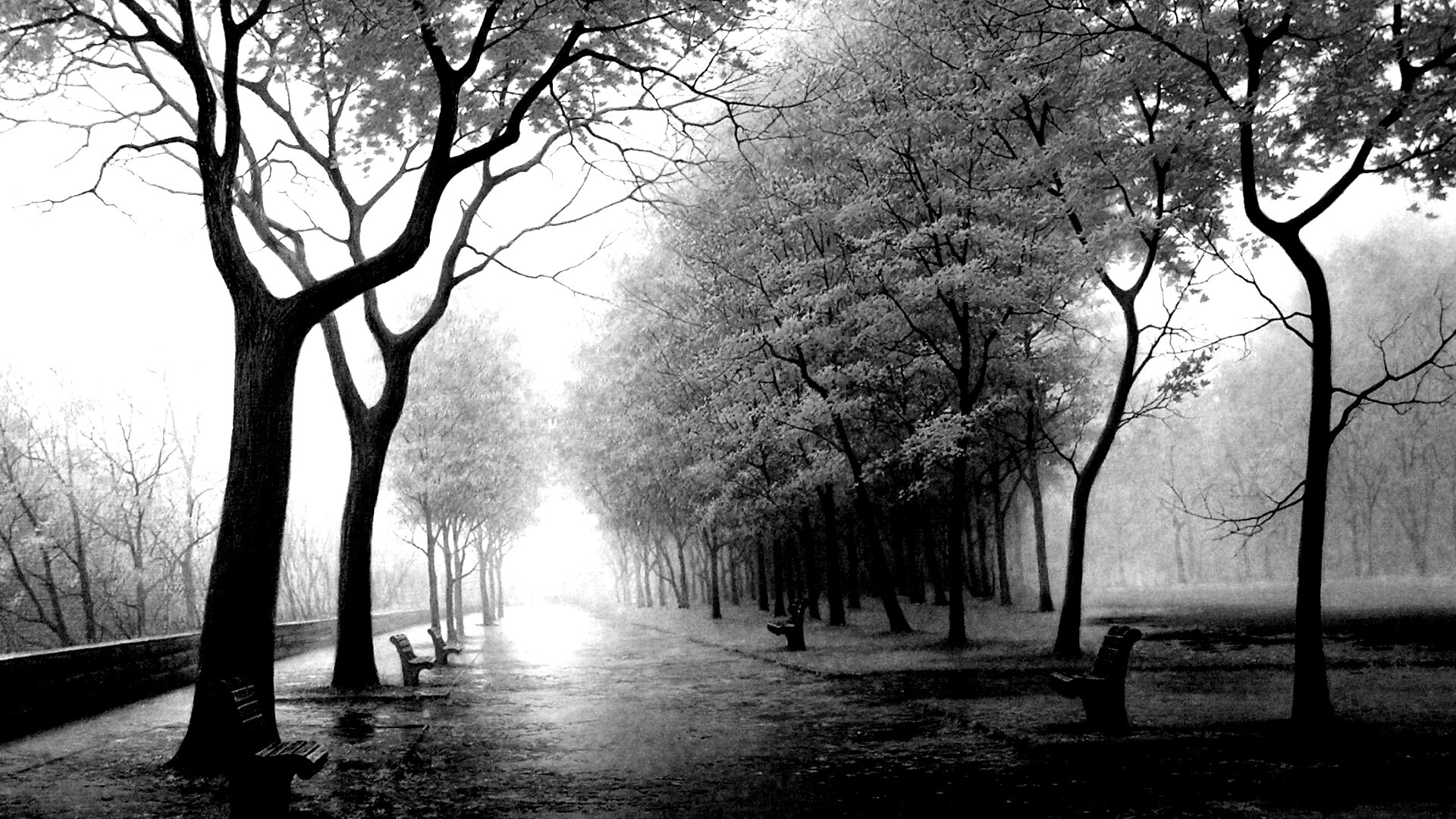 Дорога в осень обои