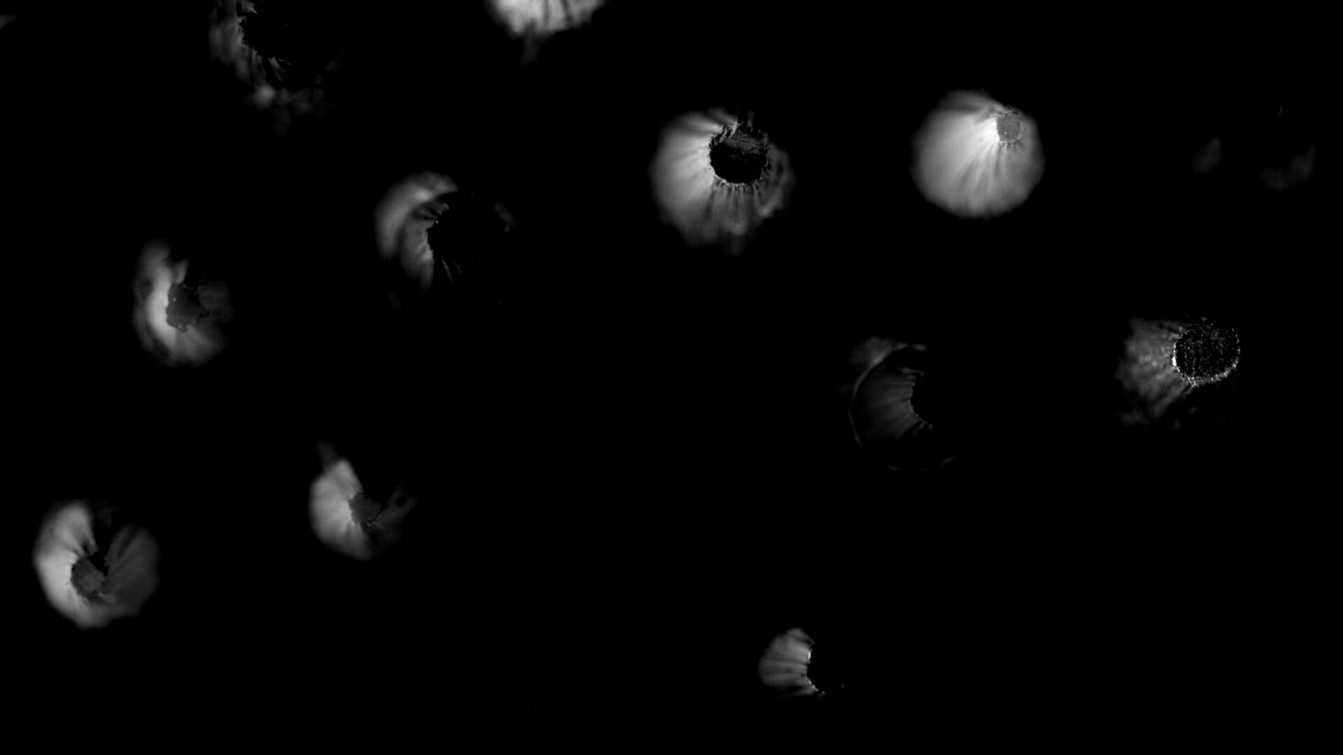 Карандаши обои