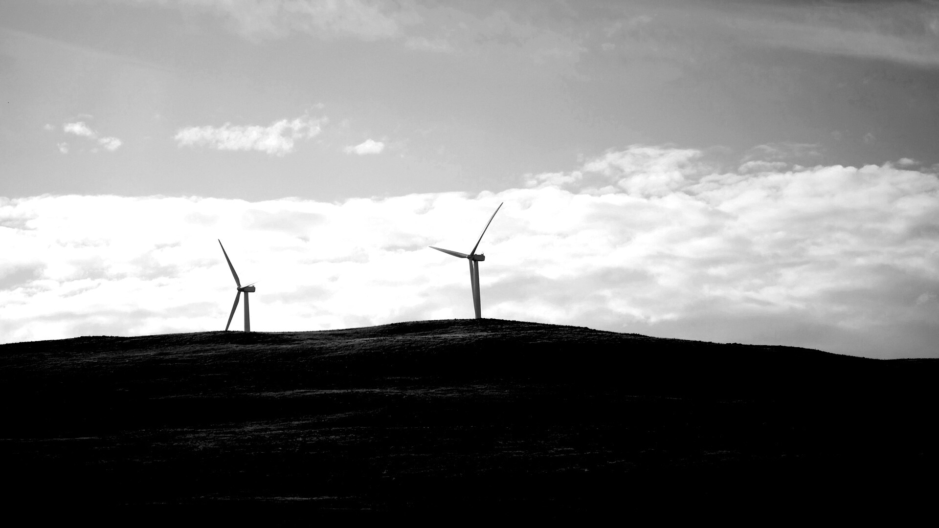 Ветряки в поле обои