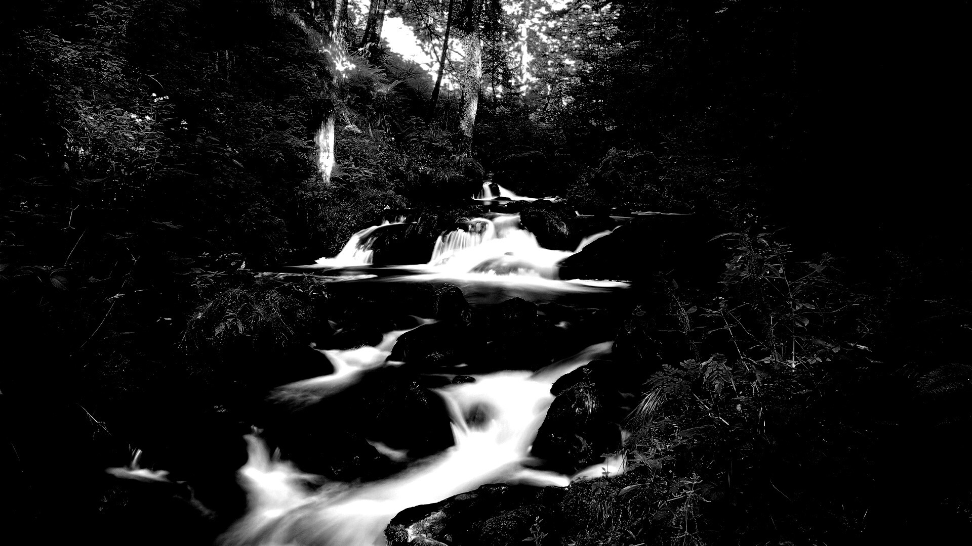 Живописный лесной водопад обои