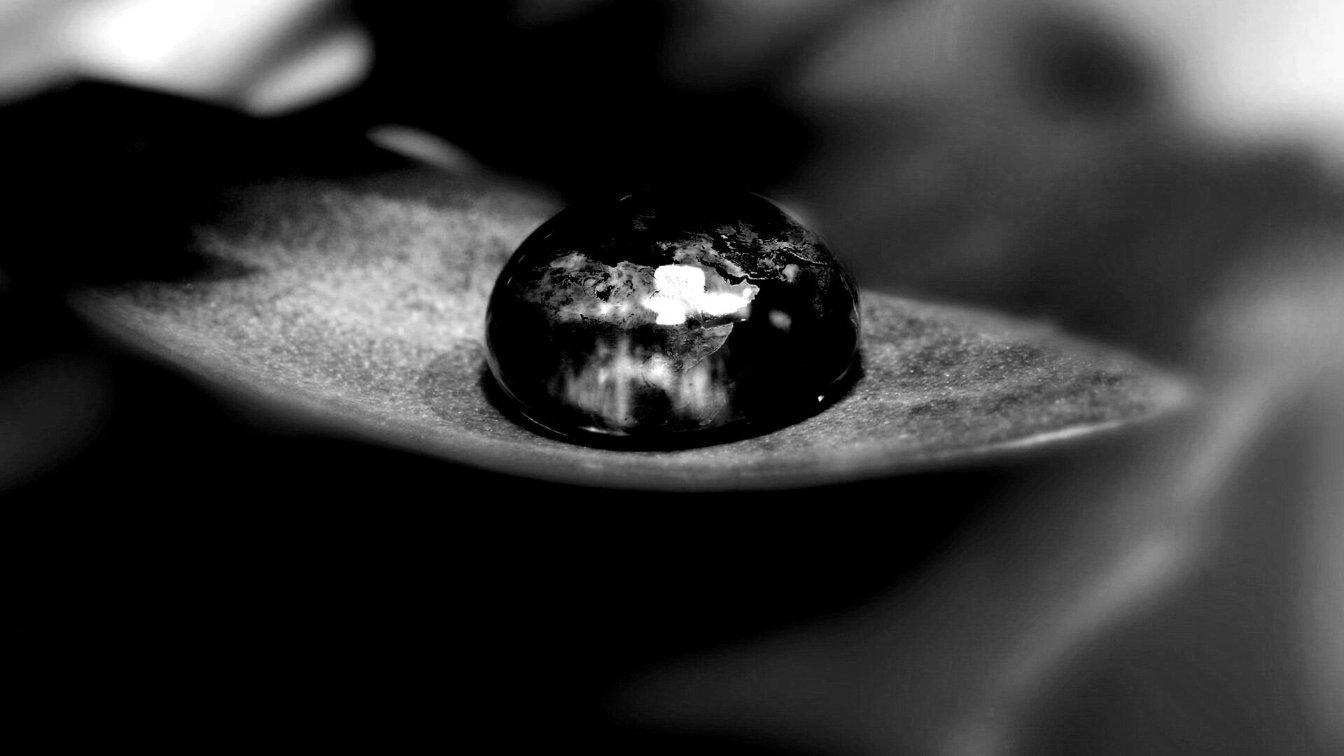 Целый мир в капле воды обои