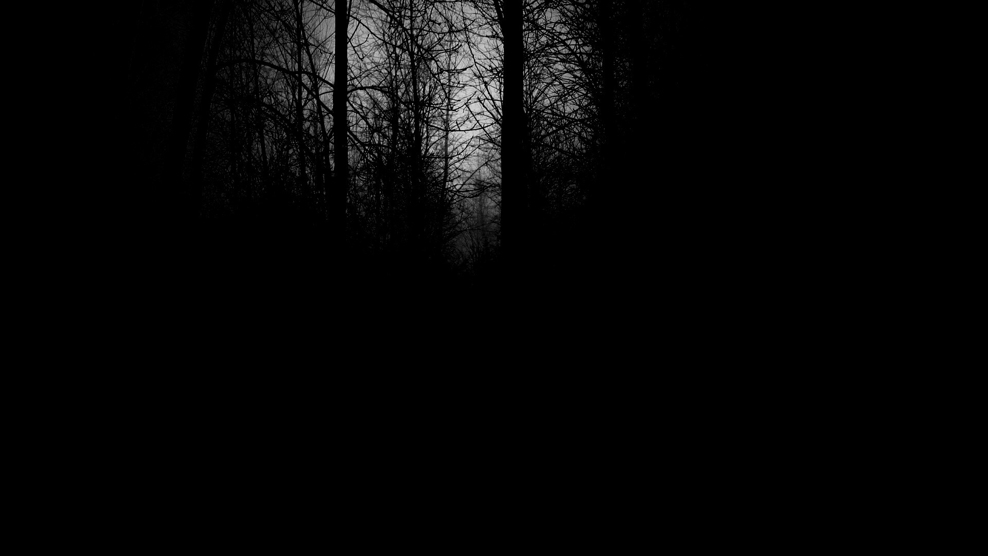 Страшный туманный лес обои