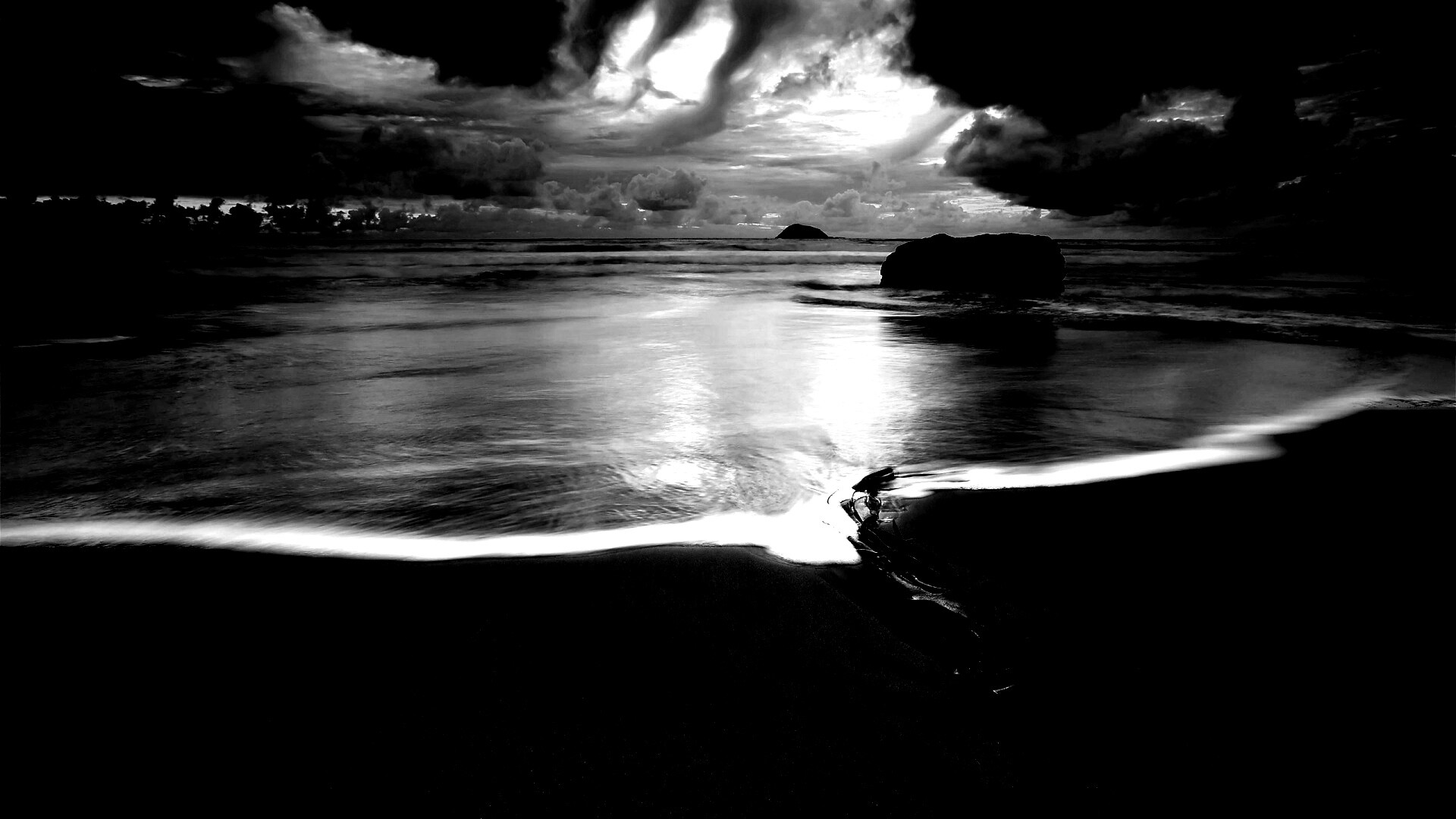 Коряга на пляже обои