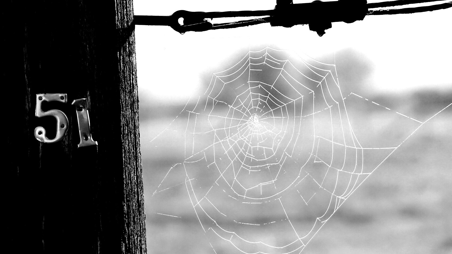 Паутина 51 обои