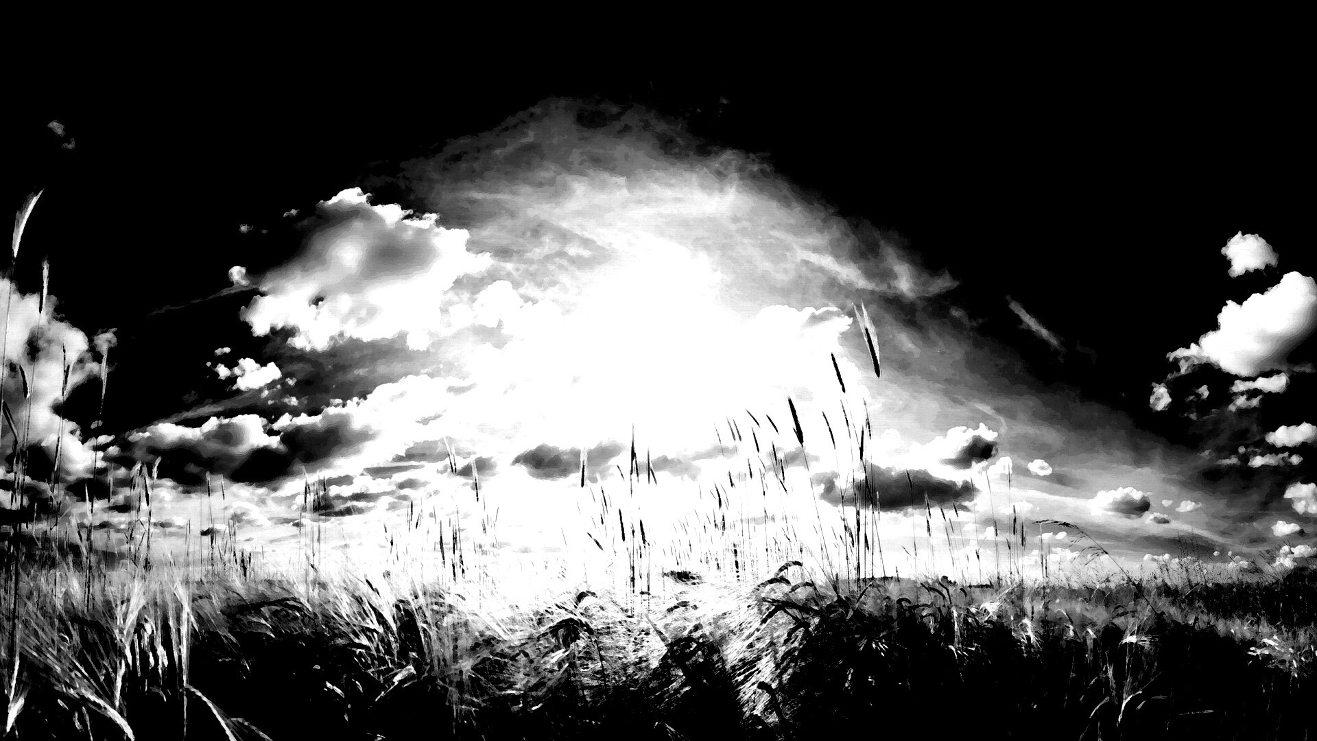 Сюрреалистичная трава обои