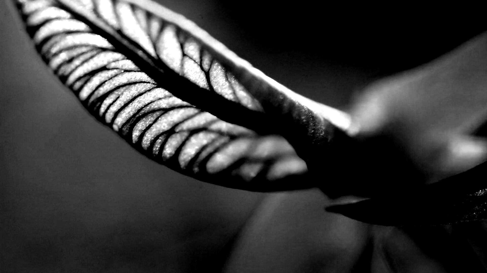 Сетчатый лист обои