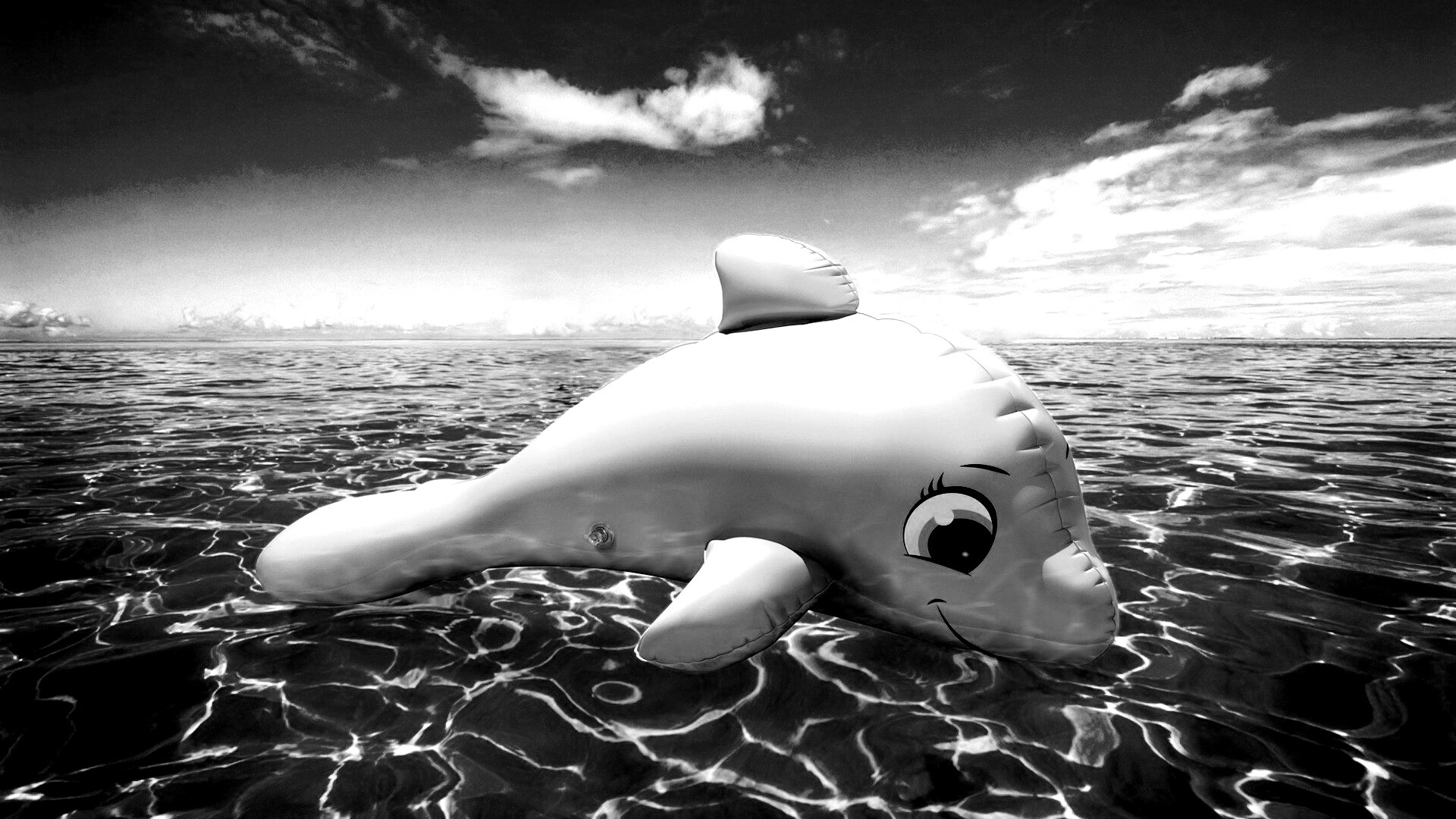 Надувной розовый дельфин обои