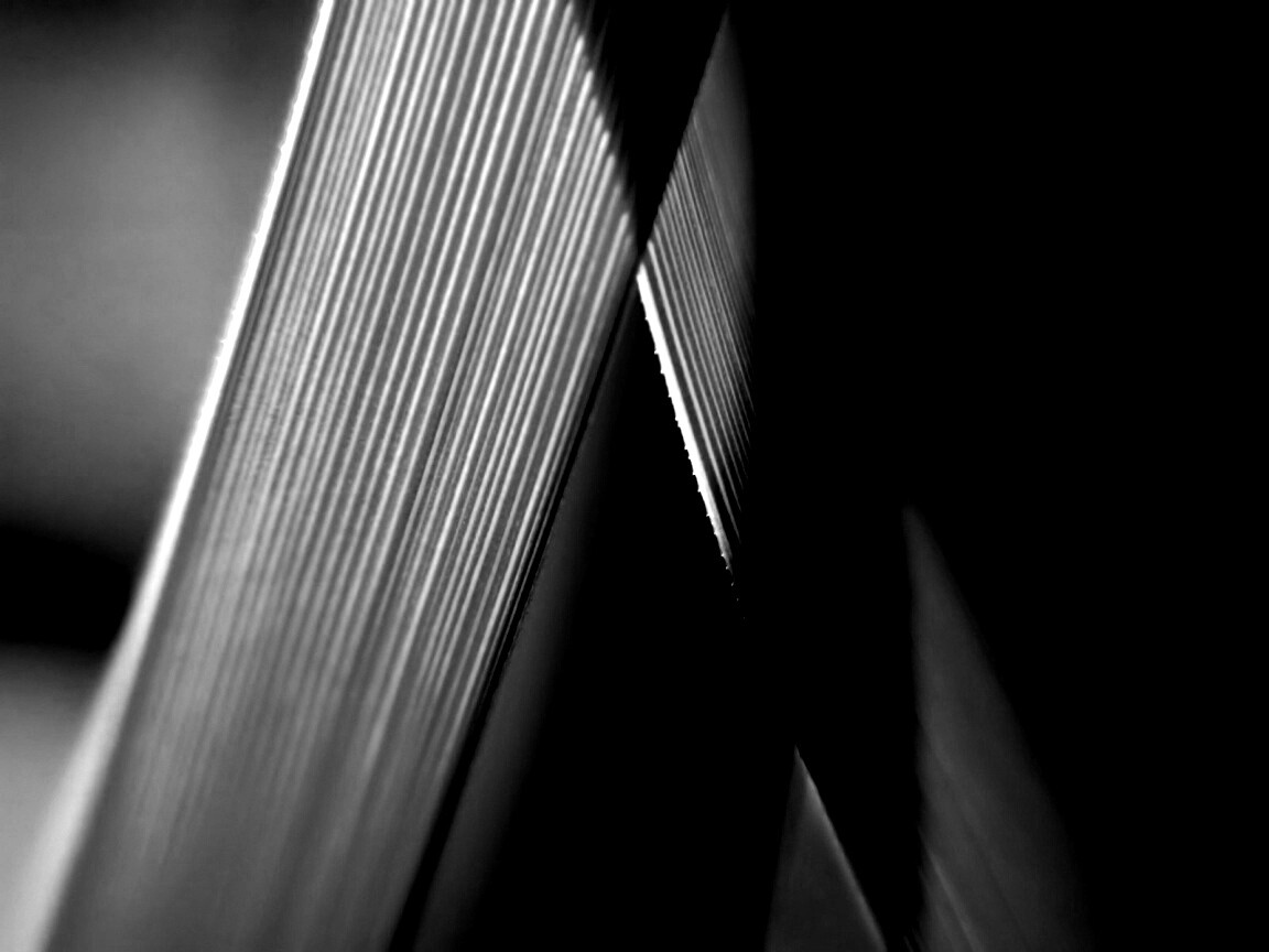 Травинки на свету обои