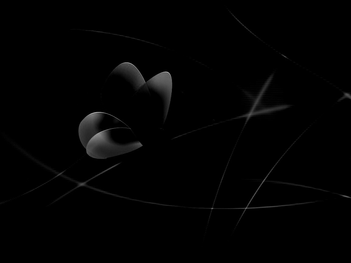 Бабочка с радужными крыльями обои