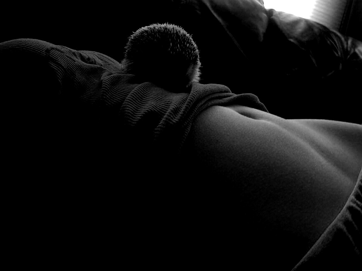 Девушка и ёжик обои