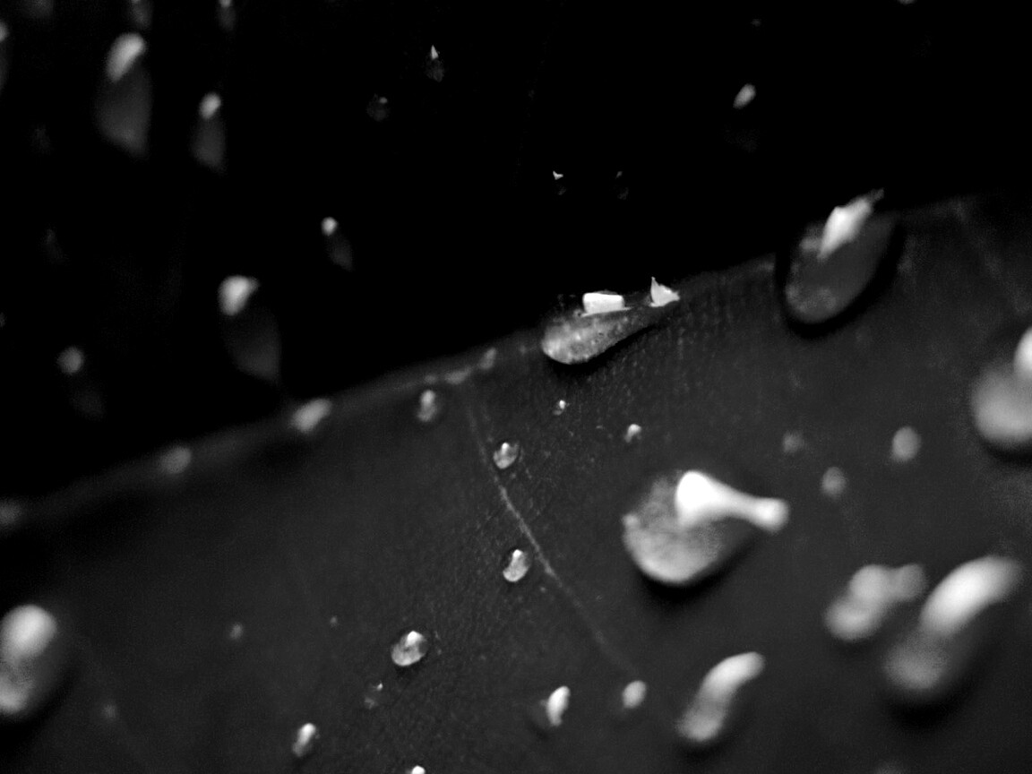 Капли на листе обои