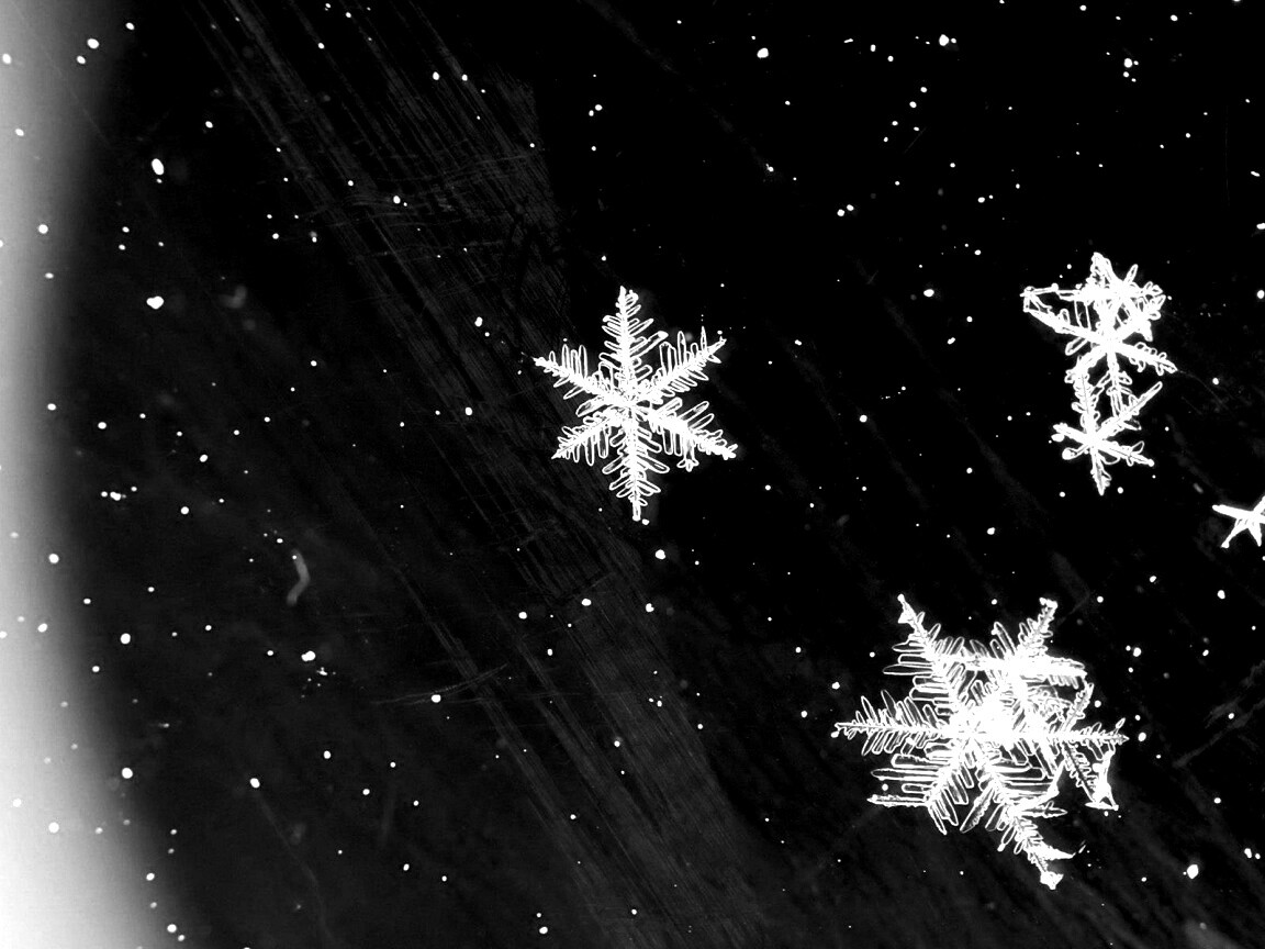 Снежинки обои