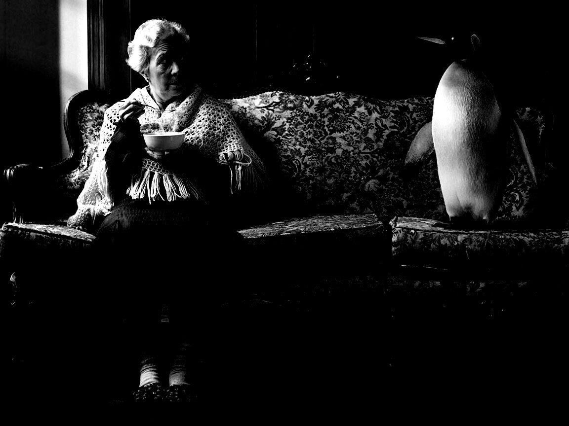 Соседи по дивану обои