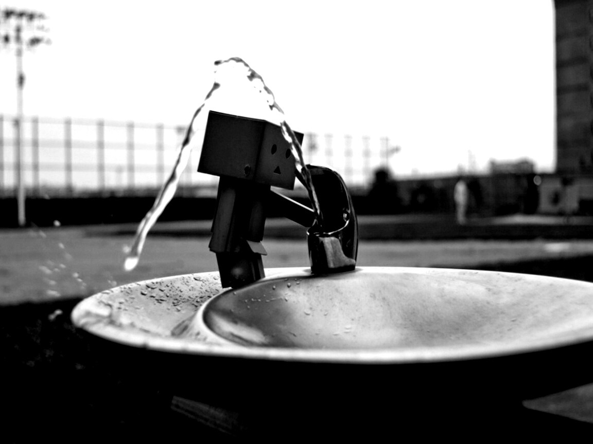 Дандо пьет в воду из фонтанчика обои