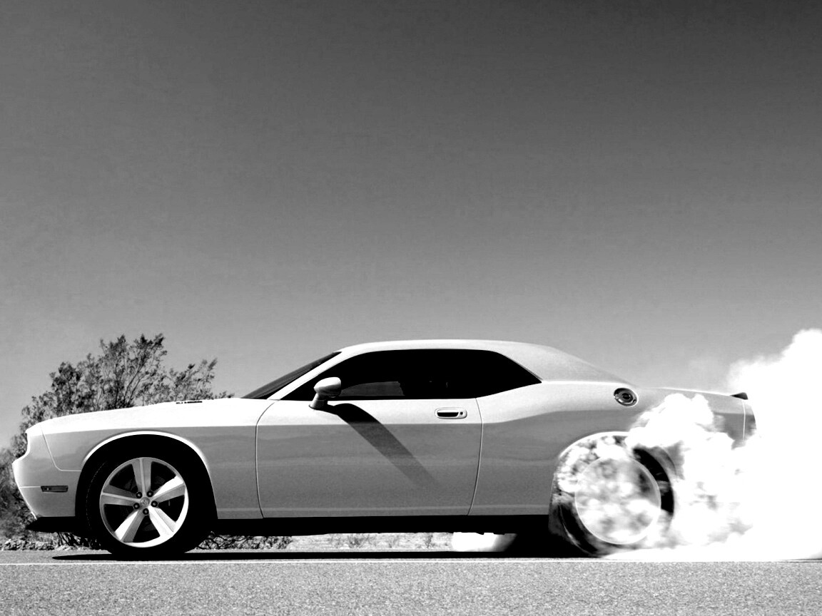 Стартующий Форд Мустанг обои