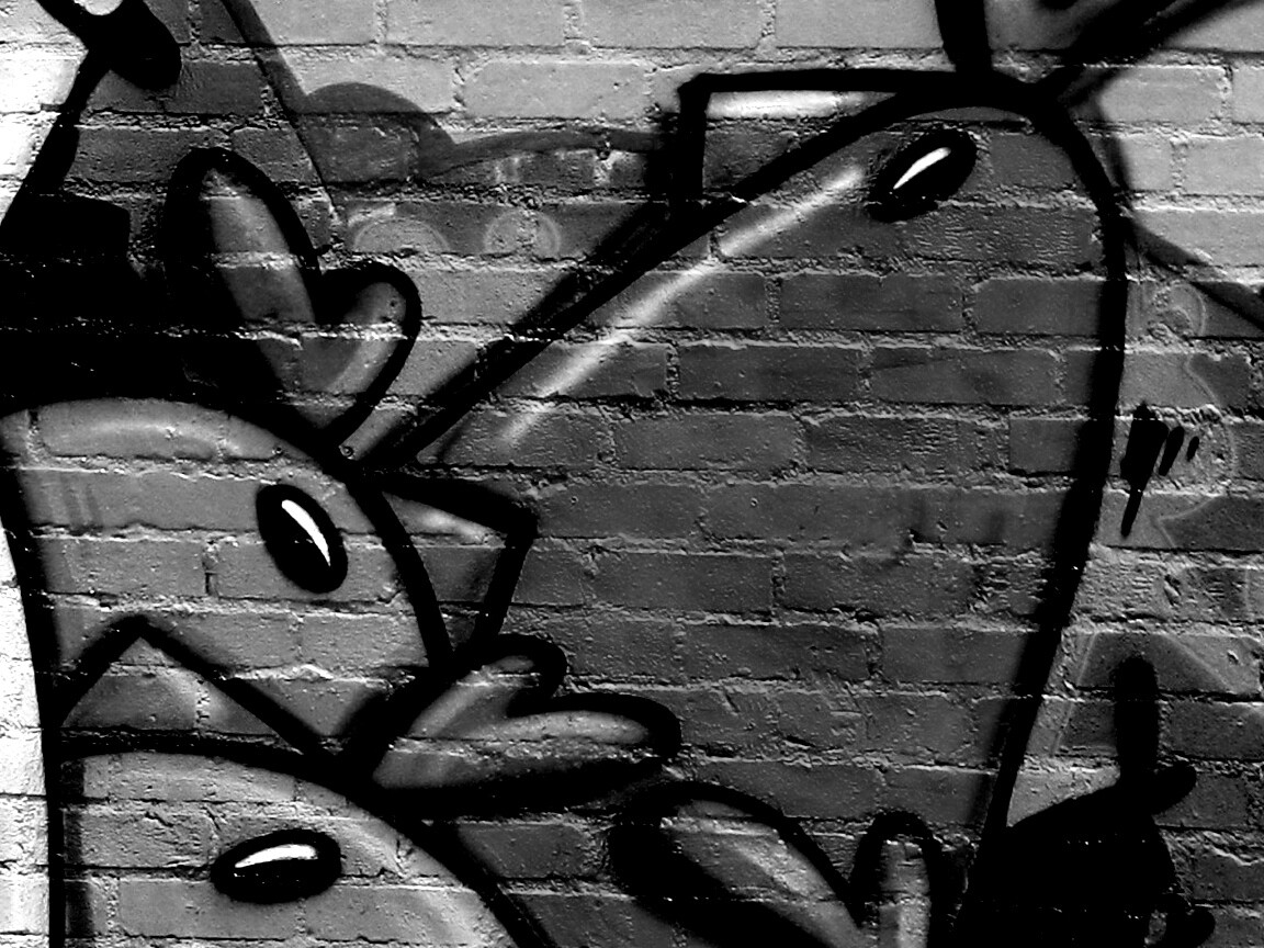 Граффити Курица с цыплятами обои