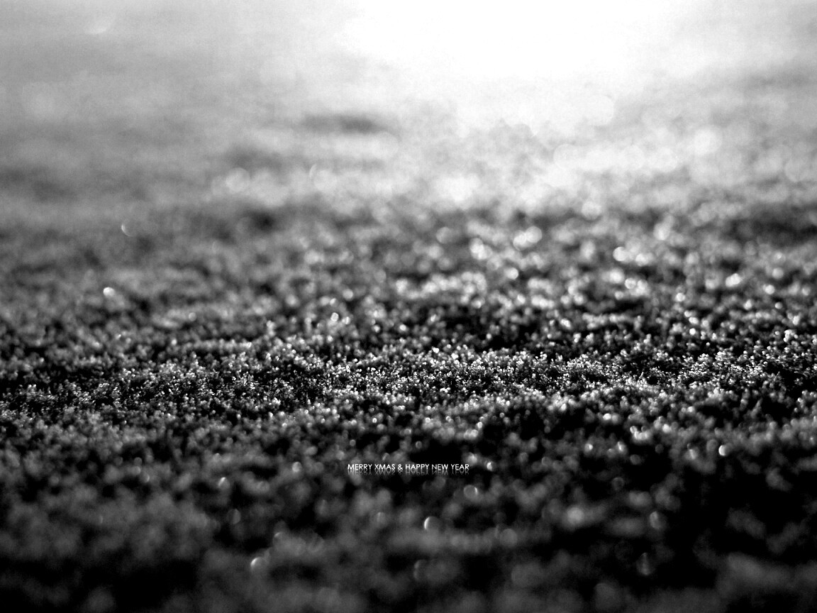 Снежный покров обои