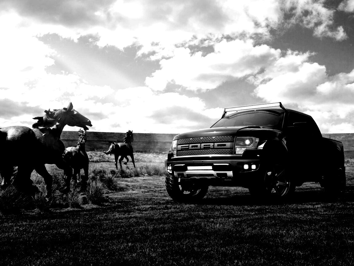 Ford F-150 Raptor обои