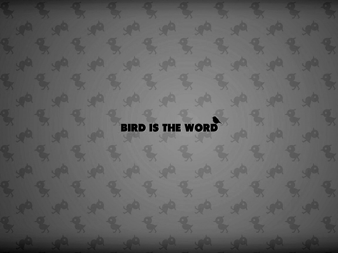 Bird is the word обои