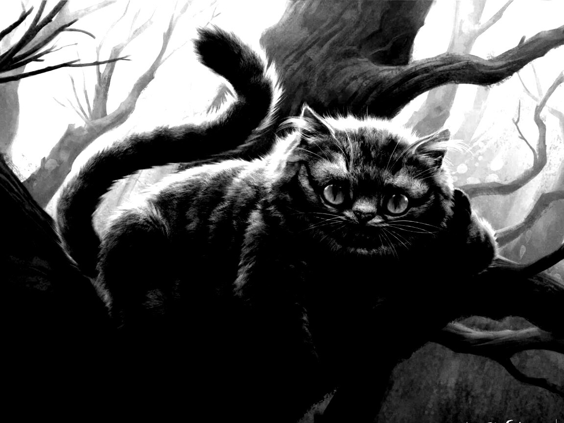 Чеширский кот обои