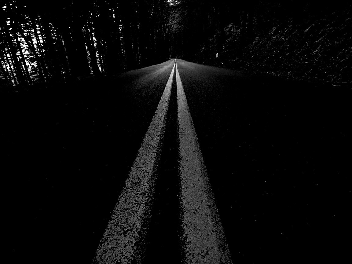 Дорога в лесу обои