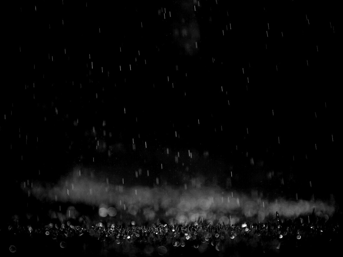 Трава под дождем обои