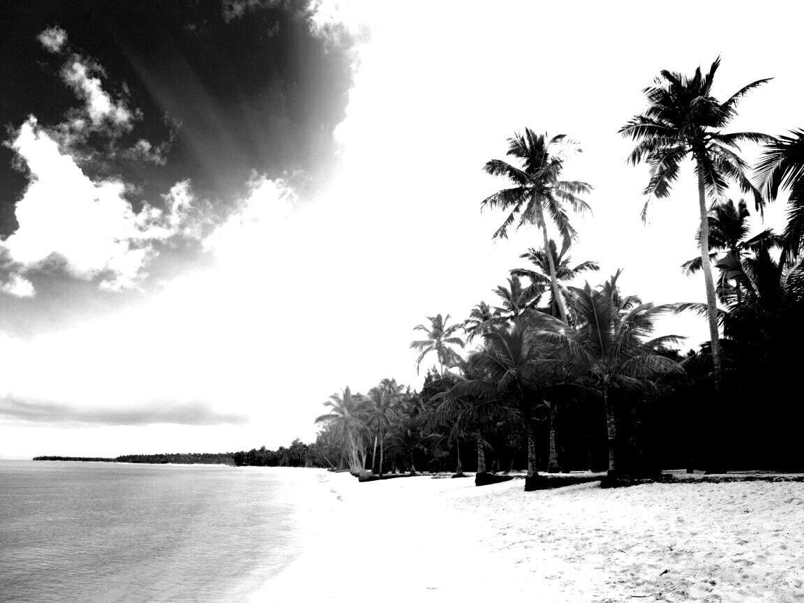 Тропическое побережье обои