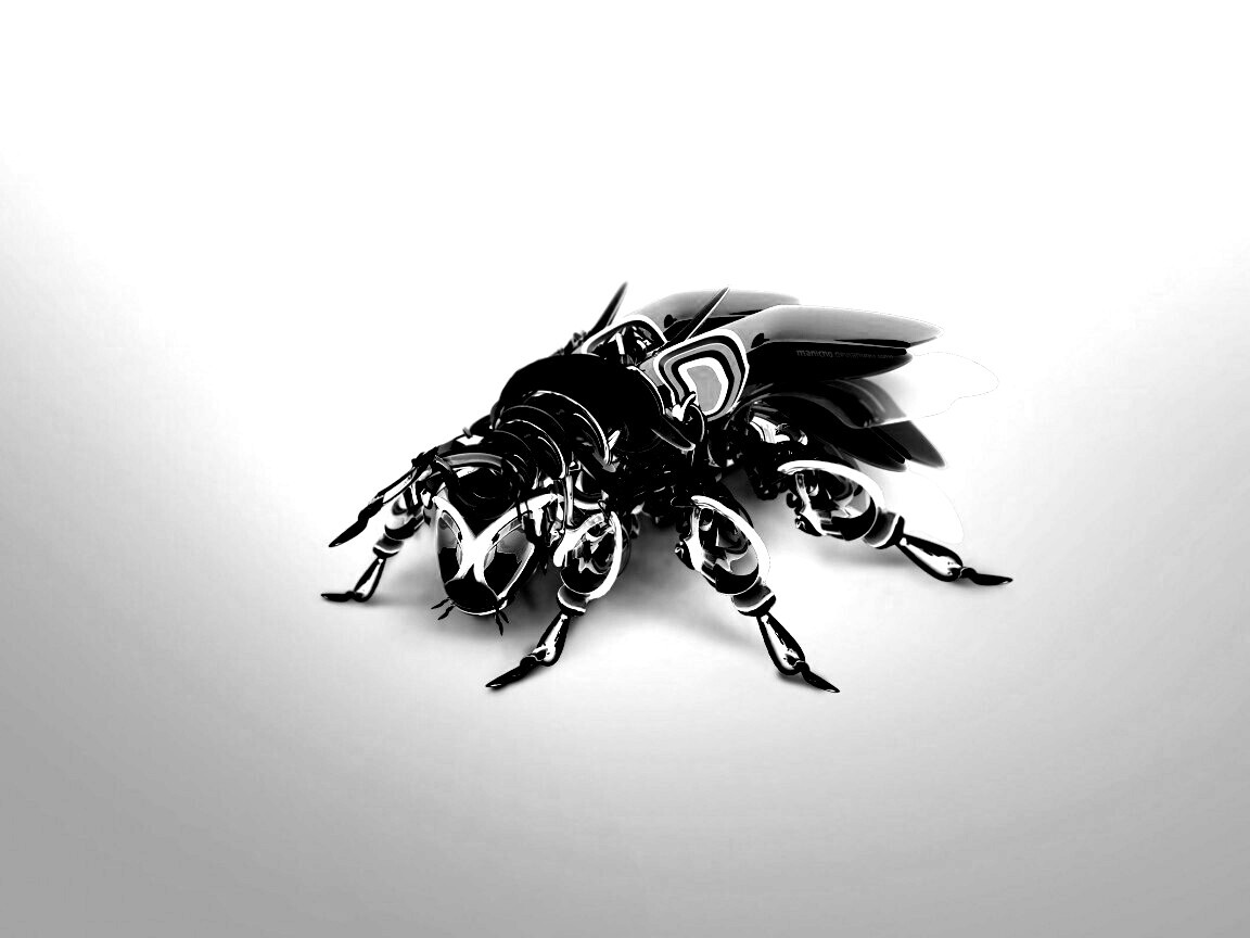 Кибер муха обои