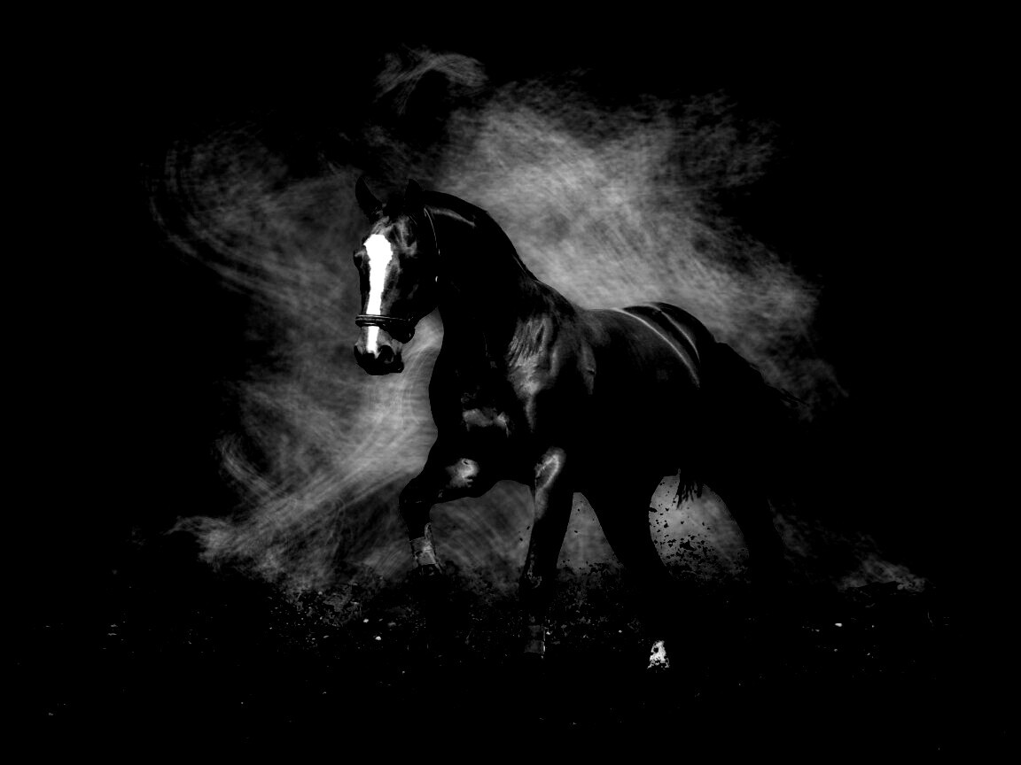 Лошадь обои