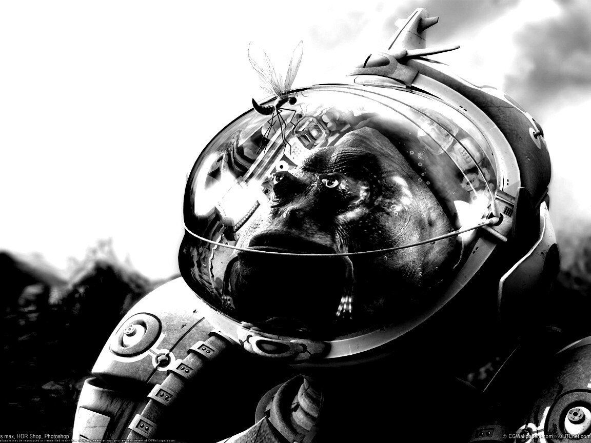 Инопланетянин и стрекоза обои