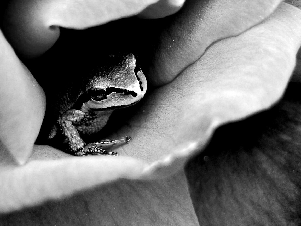 Куда это ты смотришь? обои