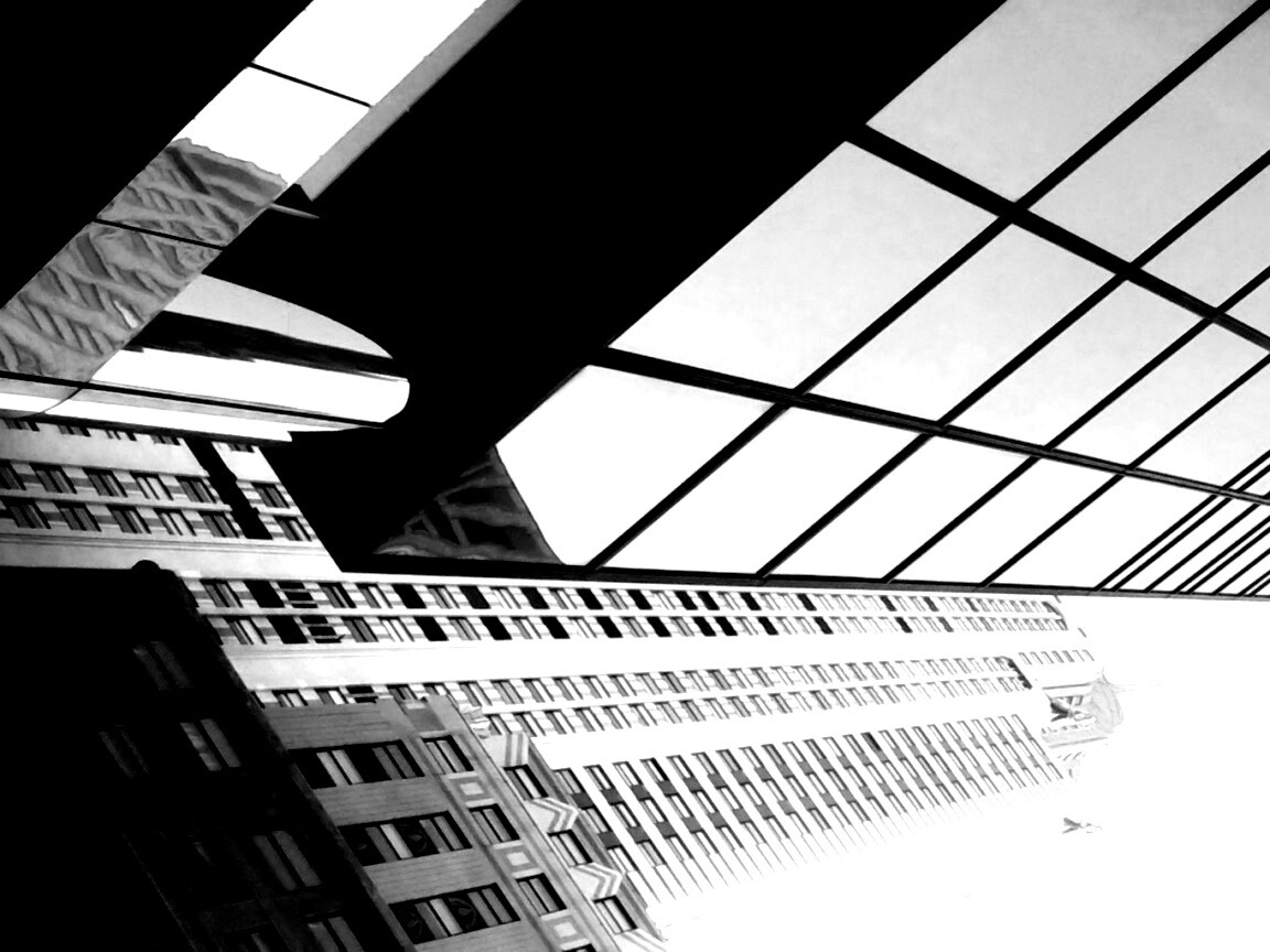 Взгляд вверх обои